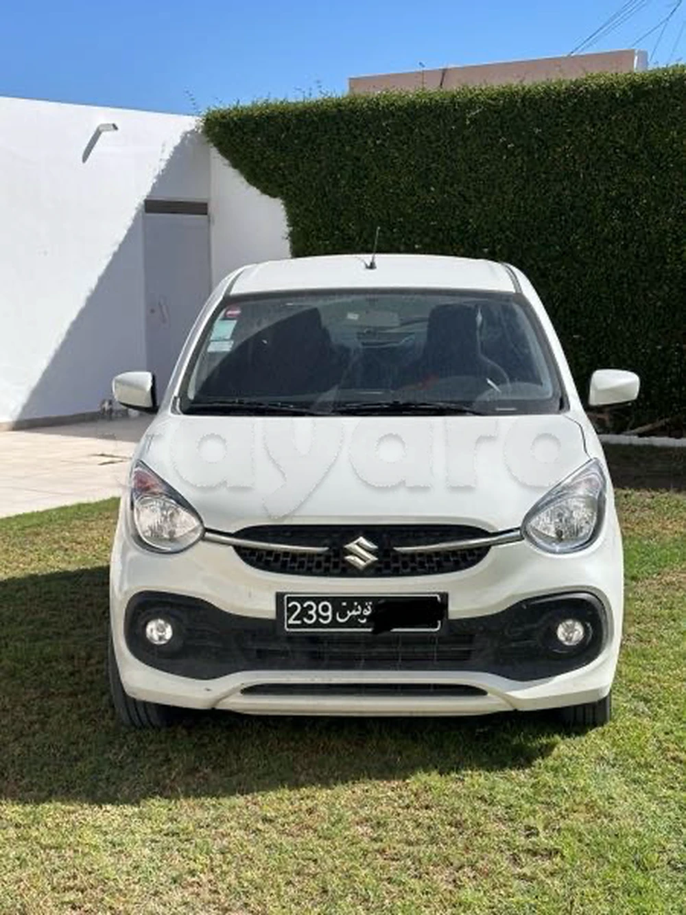 Carte voiture Suzuki Celerio