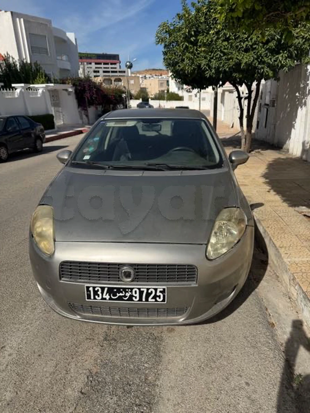 Carte voiture Fiat Punto