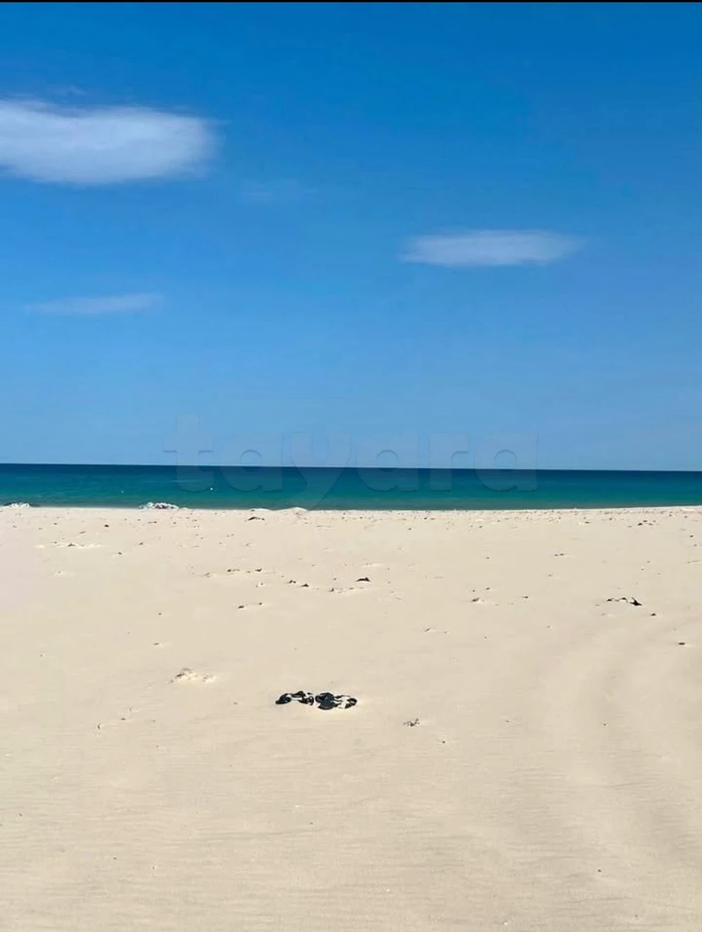 vente hammamet sud terrain proche de la mer