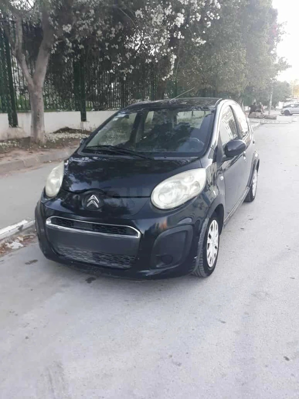 Carte voiture Citroen C1