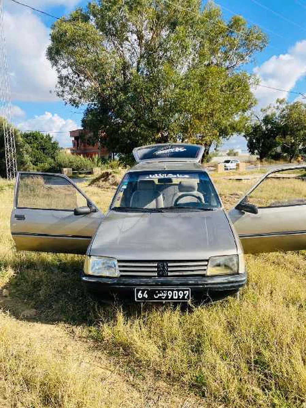 Carte voiture Peugeot 205