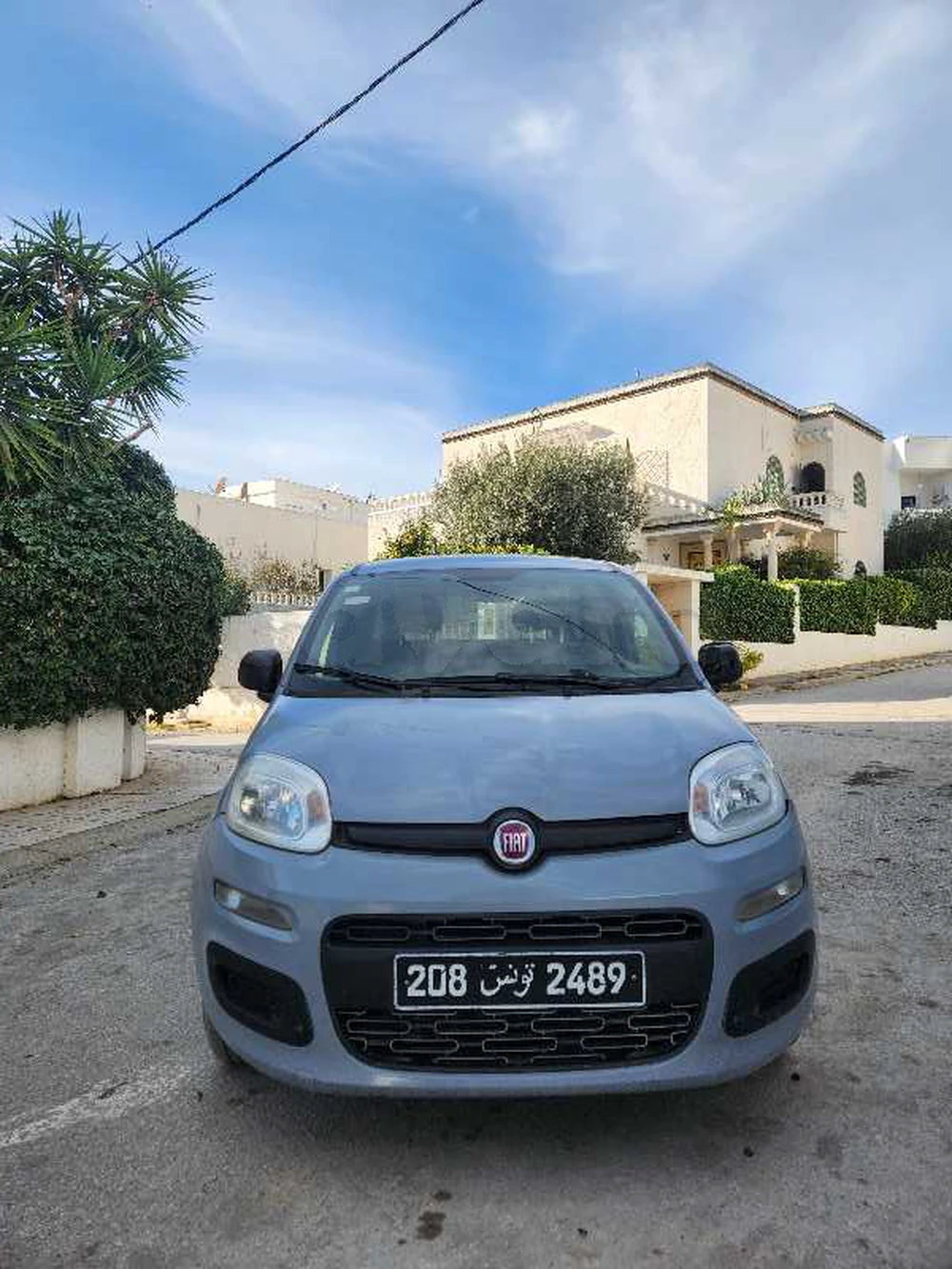 Carte voiture Fiat Panda
