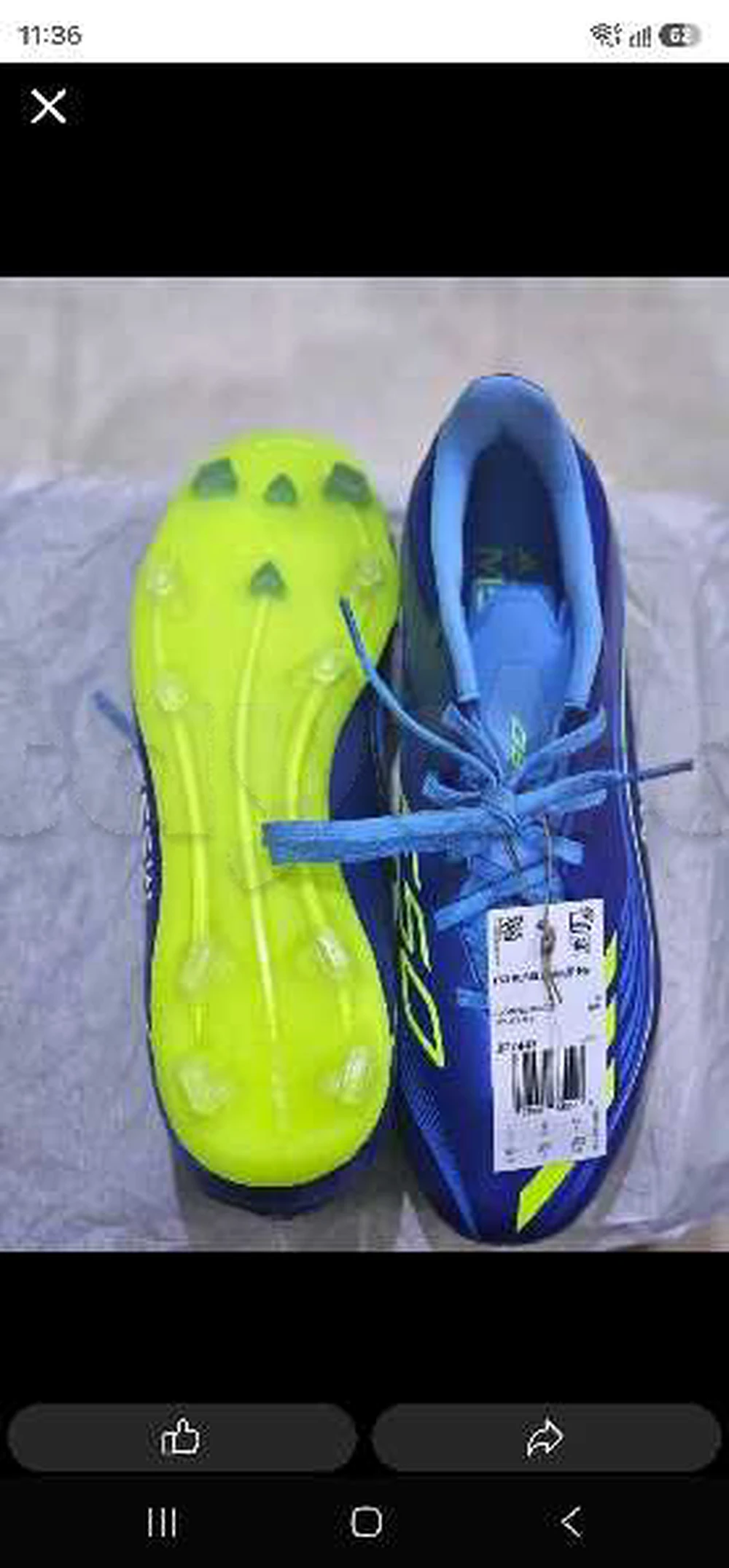 crampon adidas
