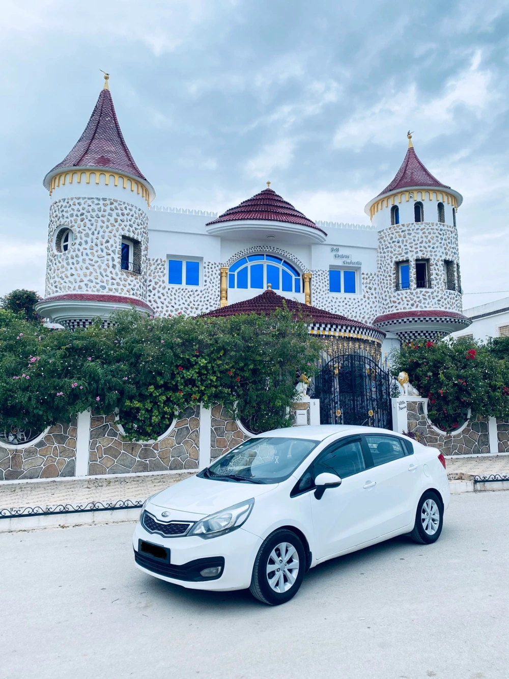 Carte voiture Kia Rio