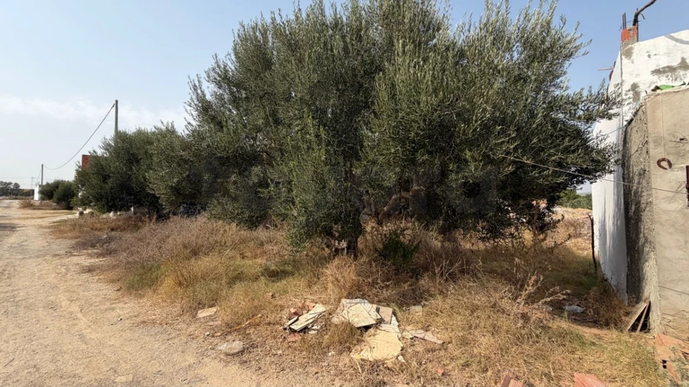 🏡 Terrain à vendre – Entre Bir Bouregba et Barraket Essahel