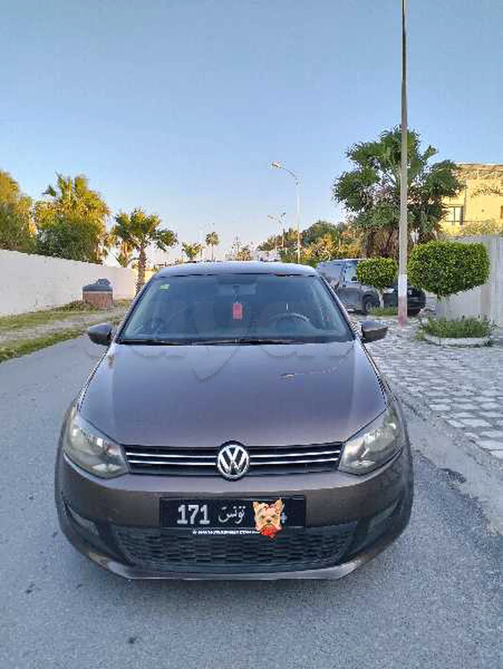 Carte voiture Volkswagen Polo