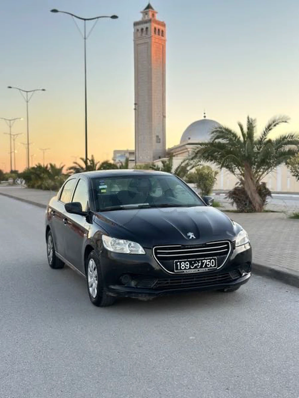 Carte voiture Peugeot 301