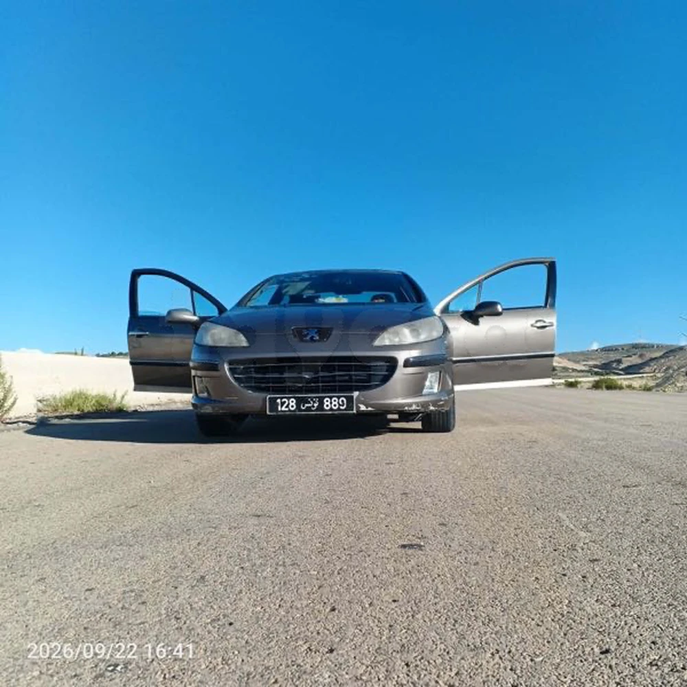 Peugeot 407