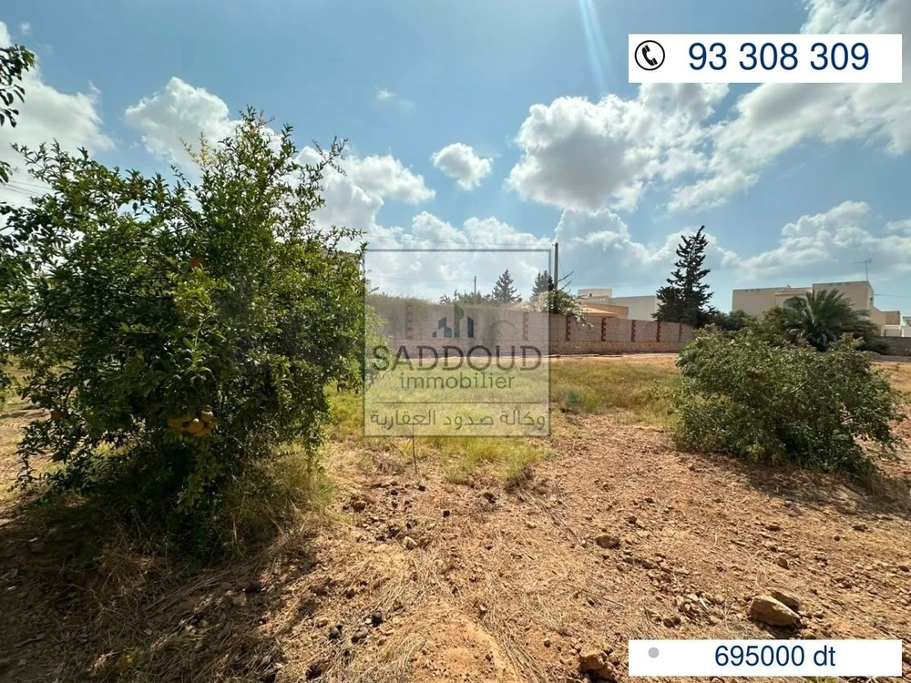 TERRAIN À VENDRE – ROUTE EL AIN KM 4