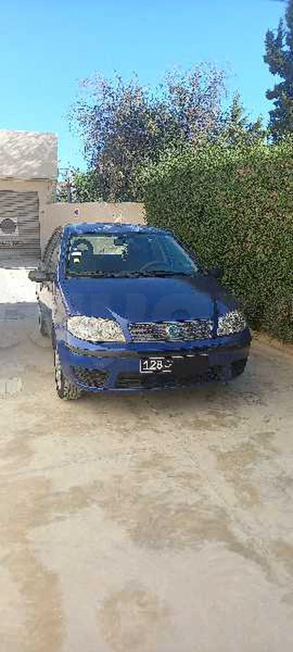 Carte voiture Fiat Punto