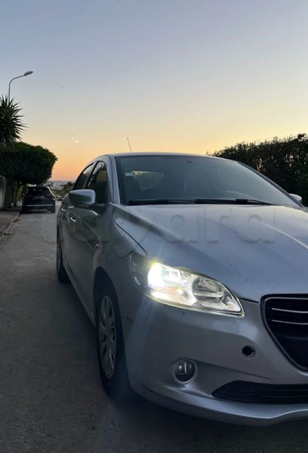 Peugeot 301