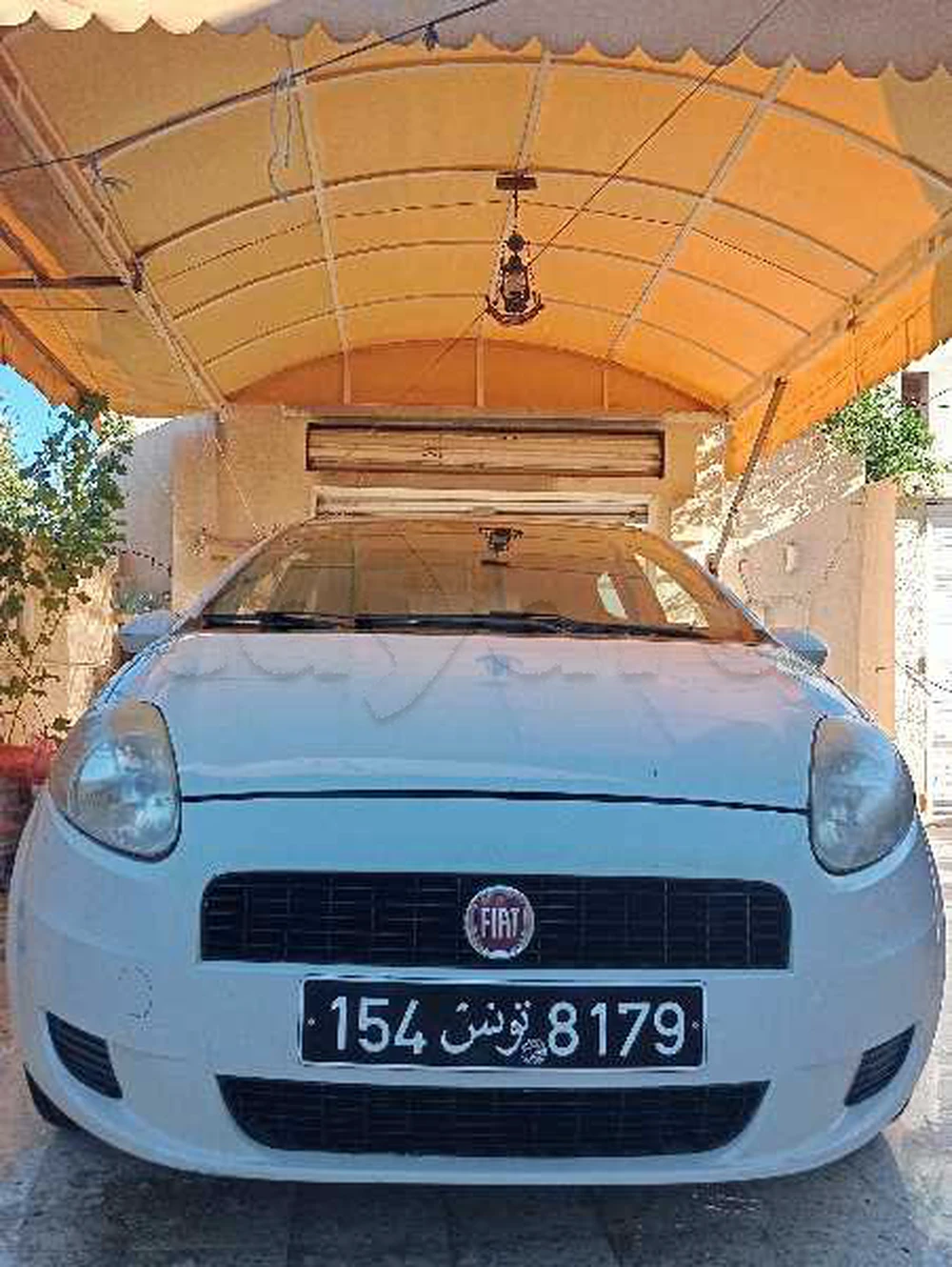 Carte voiture Fiat Punto