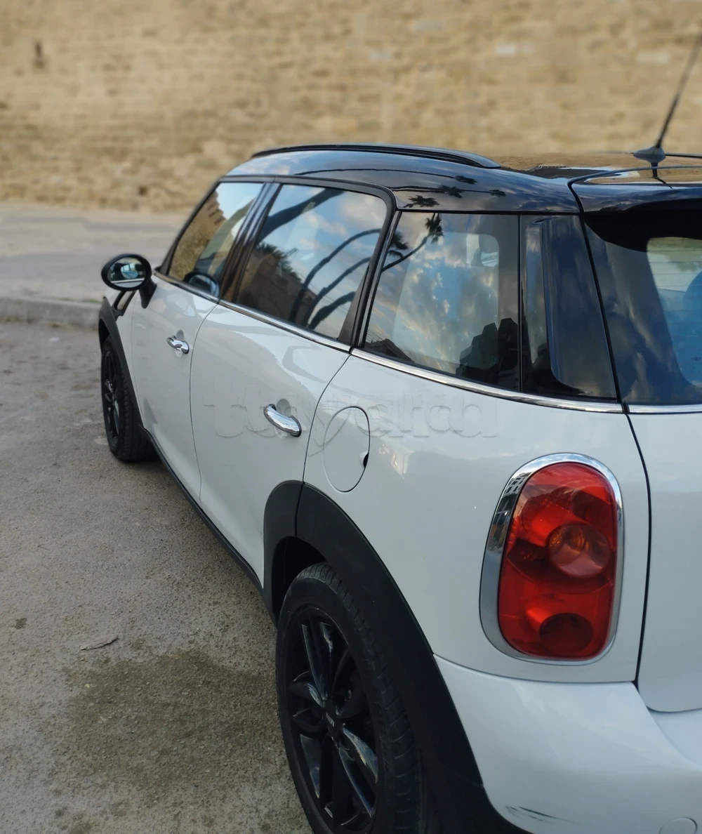 Mini Countryman