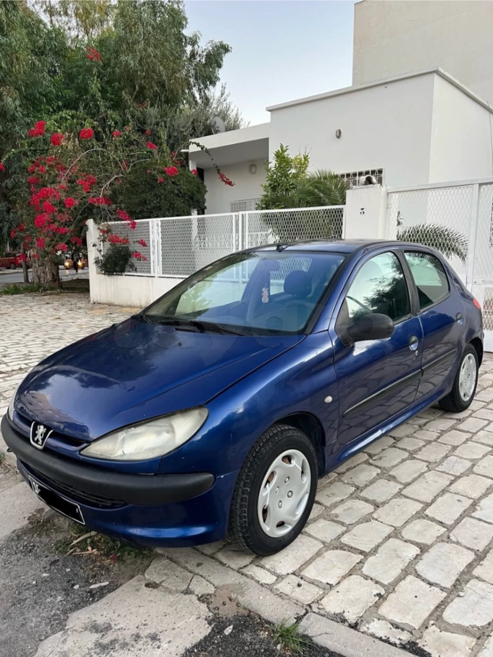 Carte voiture Peugeot 206