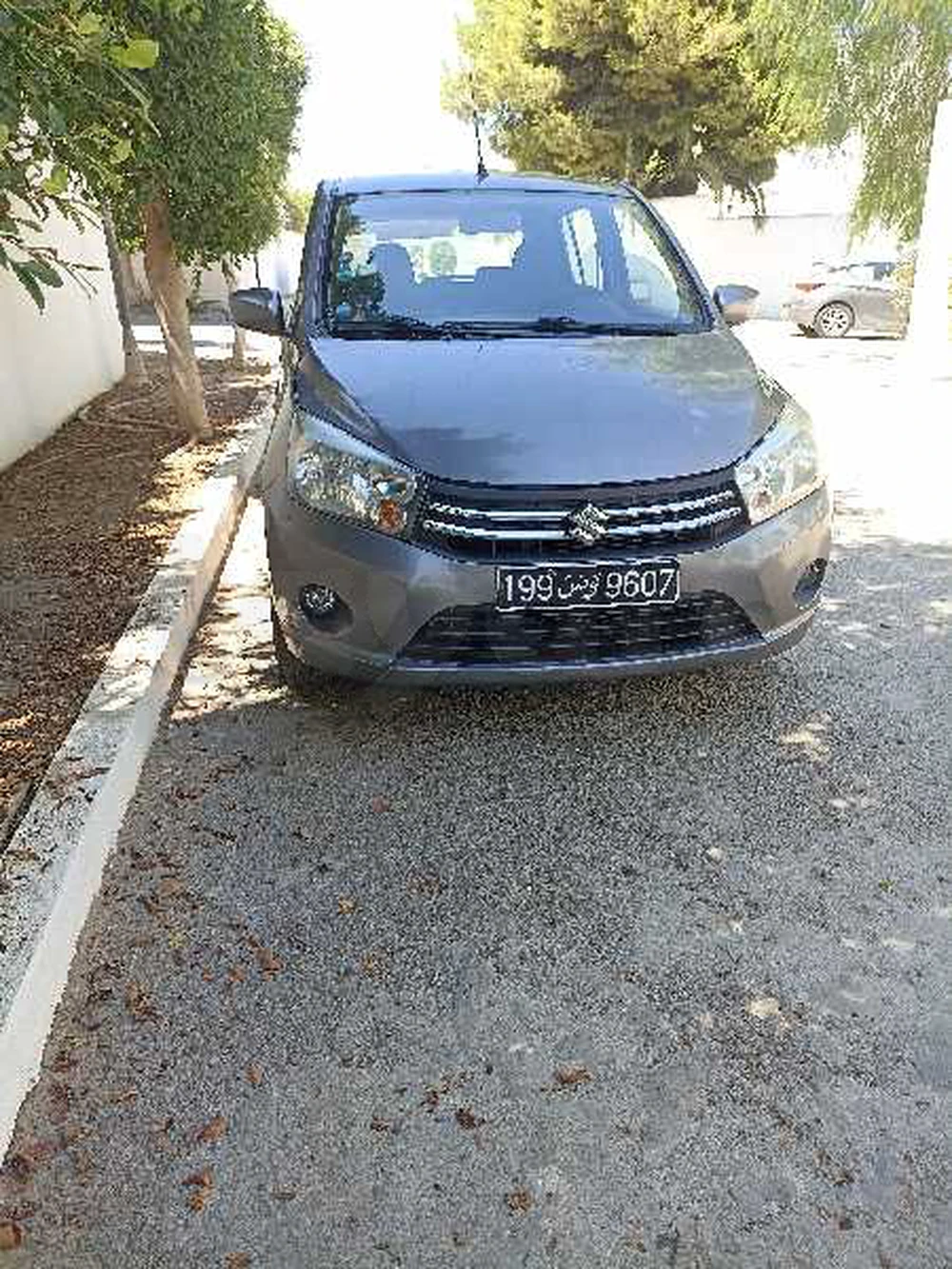 Carte voiture Suzuki Celerio