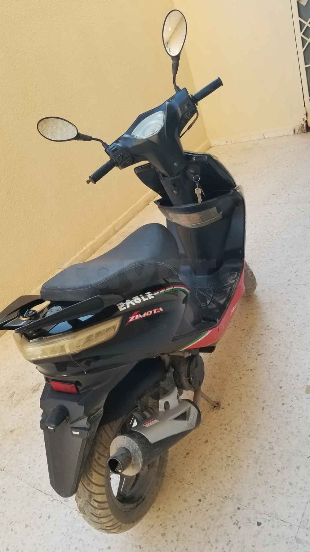 A vendre zimota eagle