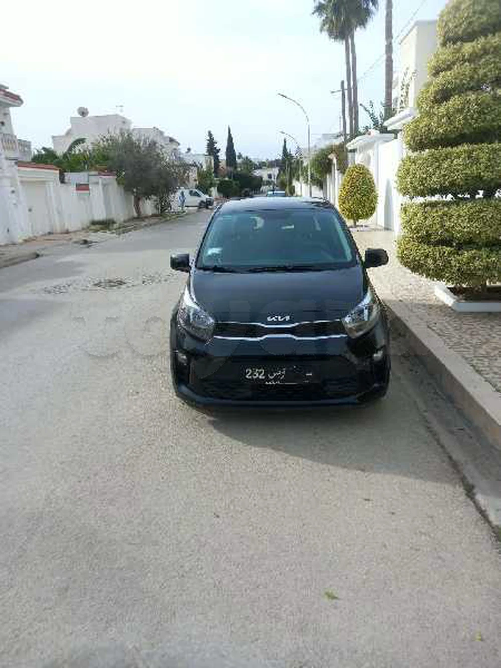 Carte voiture Kia Picanto