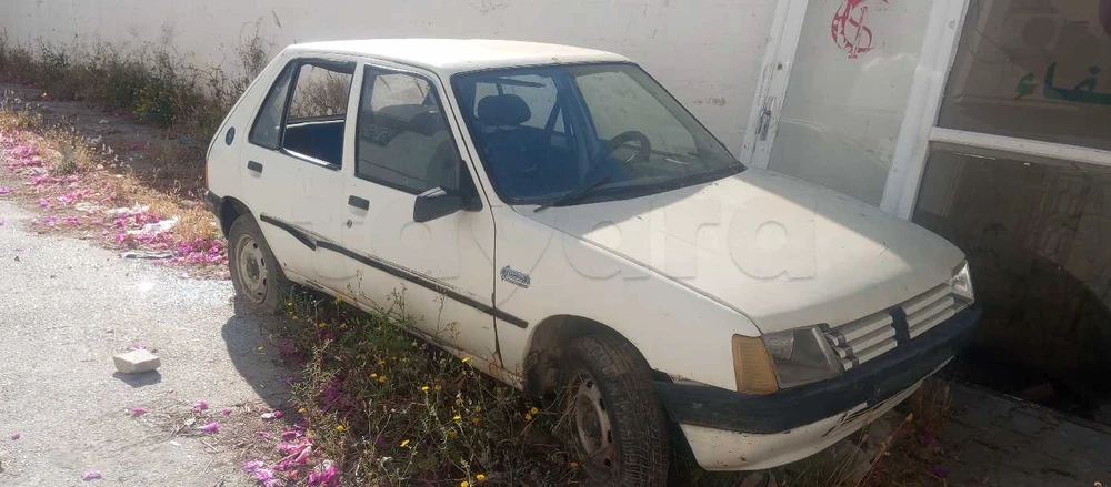 Carte voiture Peugeot 205
