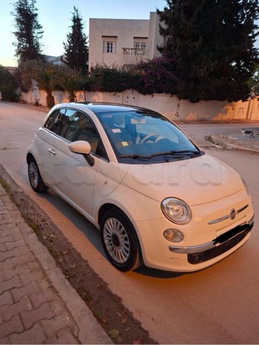 Carte voiture Fiat 500