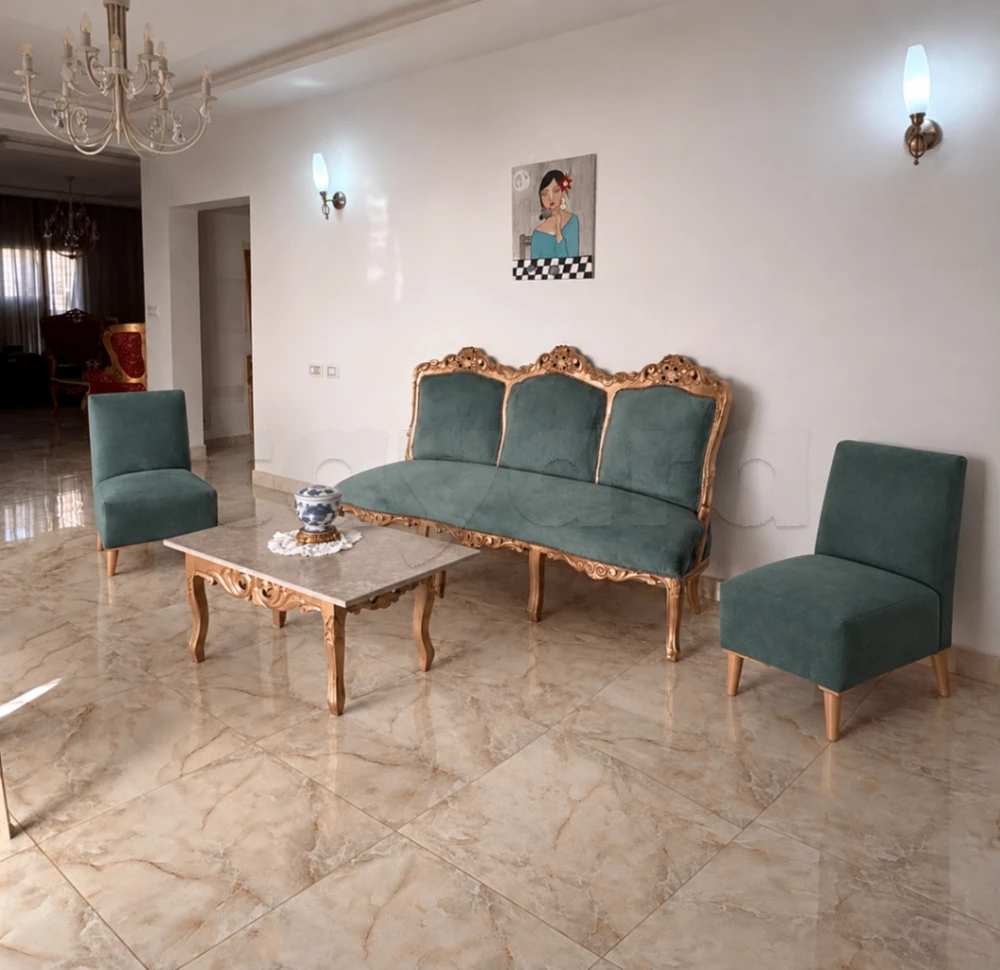 Titre : Salon élégant à vendre – canapé 3 places + 2 chaises + table basse
