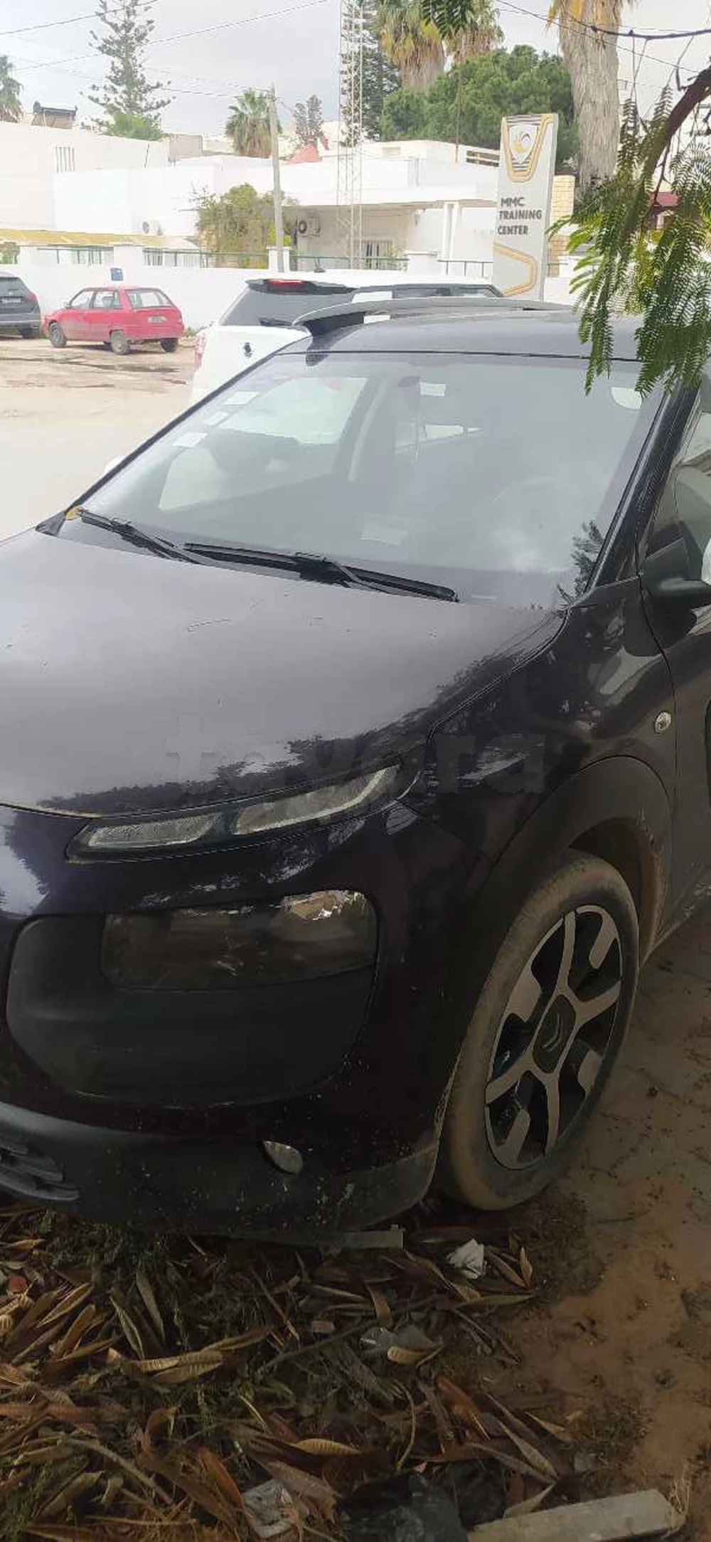 Carte voiture Citroen C4 Cactus