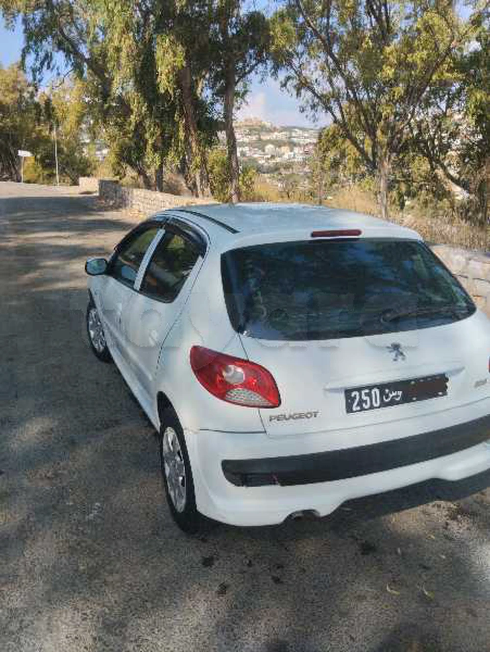 Carte voiture Peugeot 207 SW