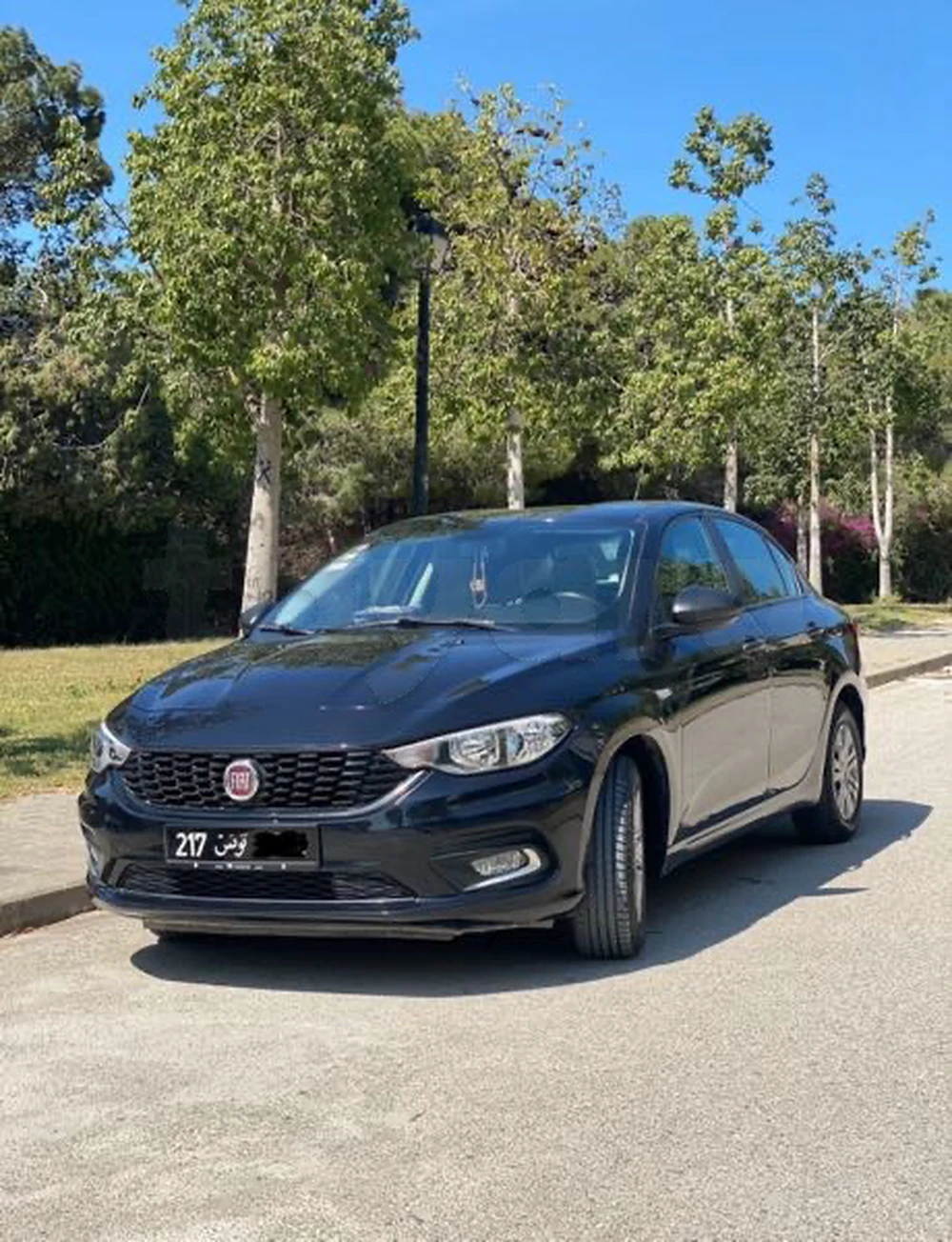 Carte voiture Fiat Tipo