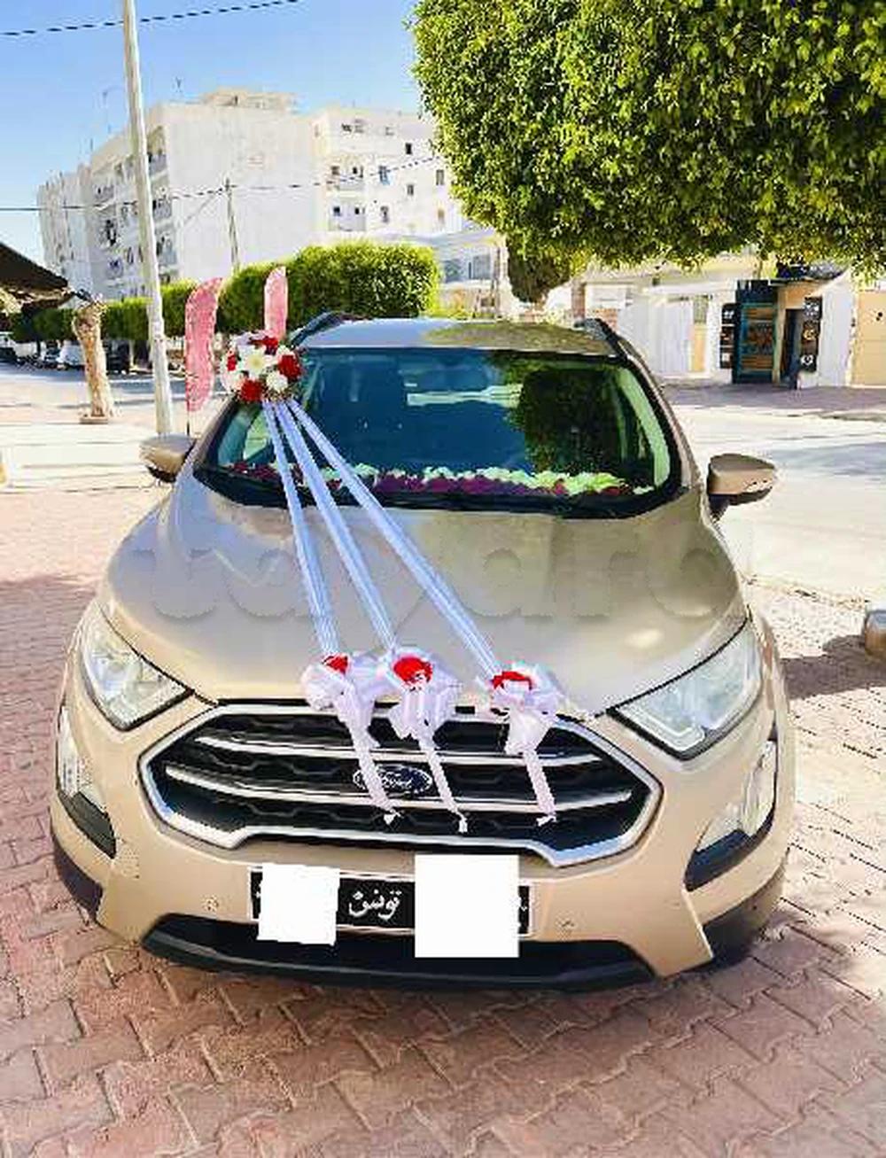 Carte voiture Ford C-Max