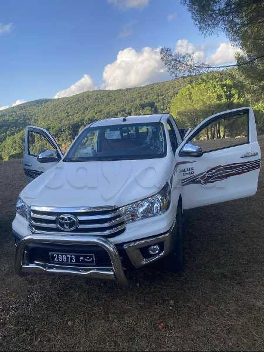 Carte voiture Toyota Hilux