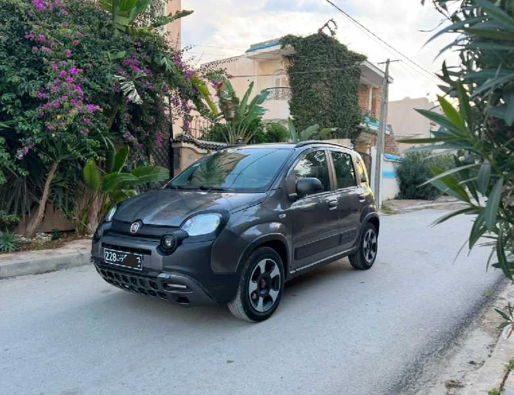 Carte voiture Fiat Panda