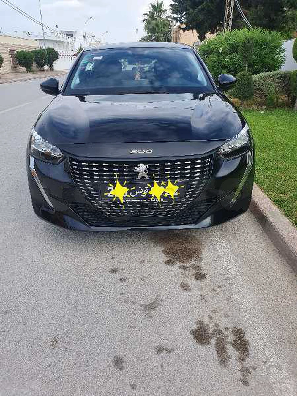 Carte voiture Peugeot 208