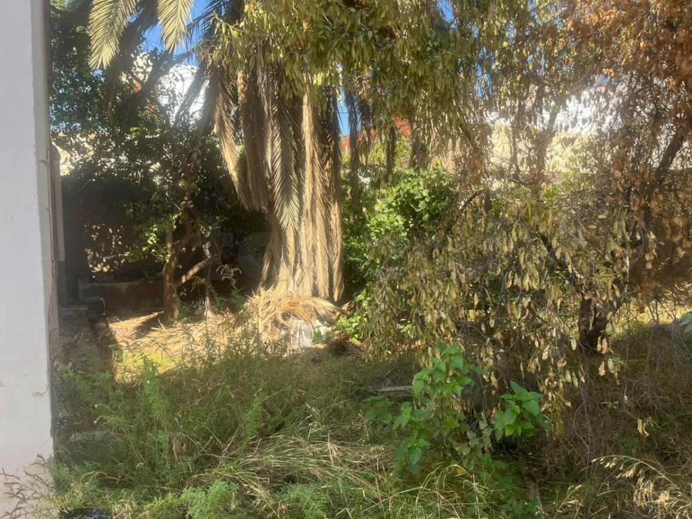 Maison avec Jardin de 318 m2 à Rte Afrane Km2