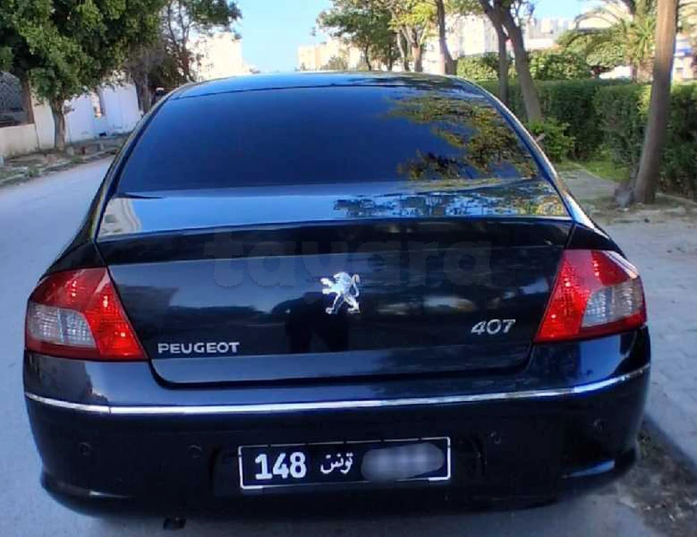 Peugeot 407