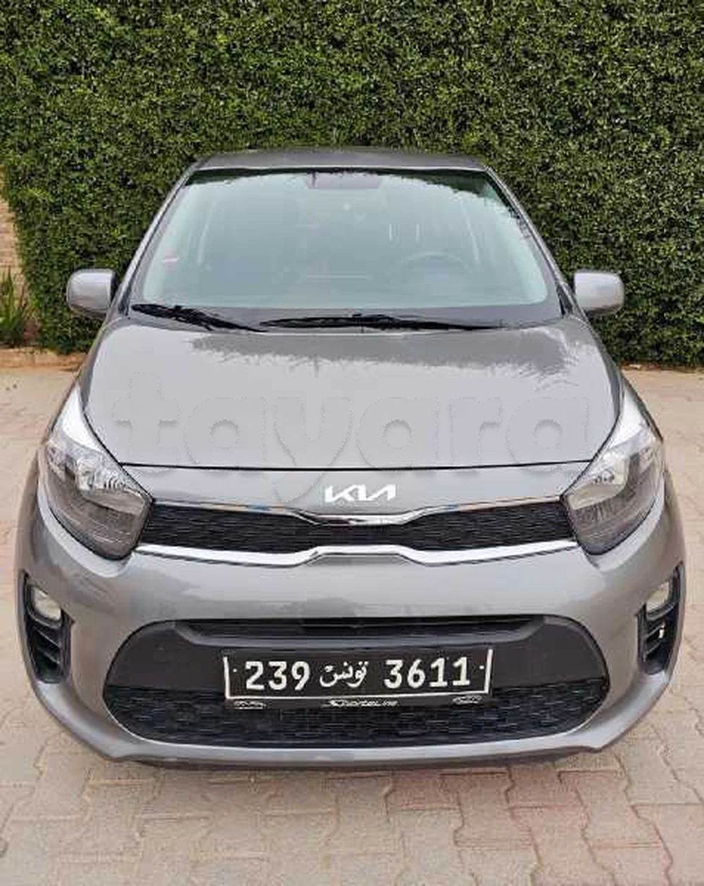 Carte voiture Kia Picanto