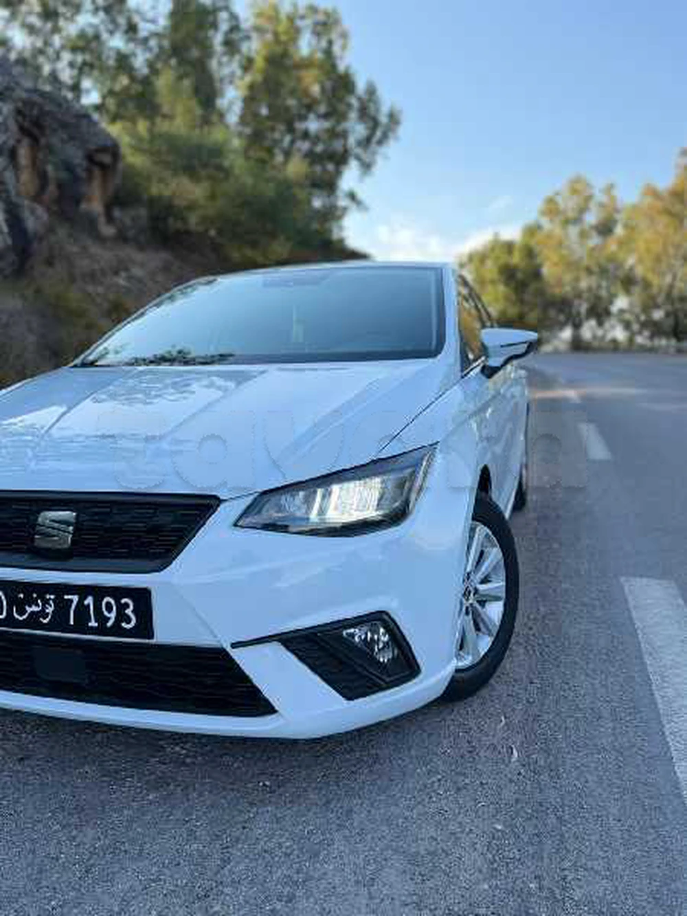 Carte voiture SEAT Ibiza