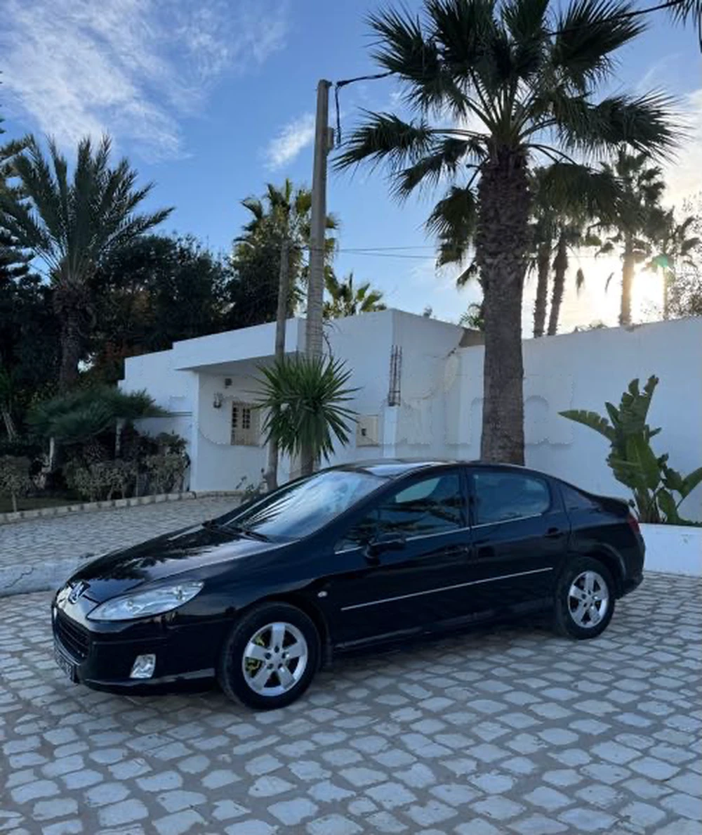 Peugeot 407 SW