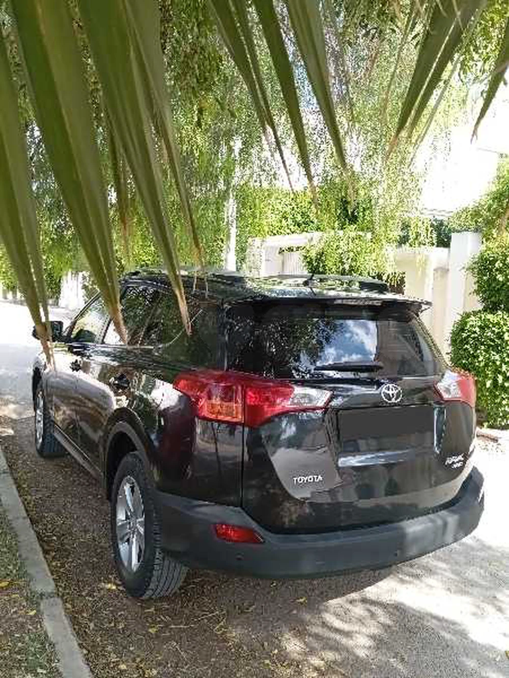 Carte voiture Toyota RAV 4