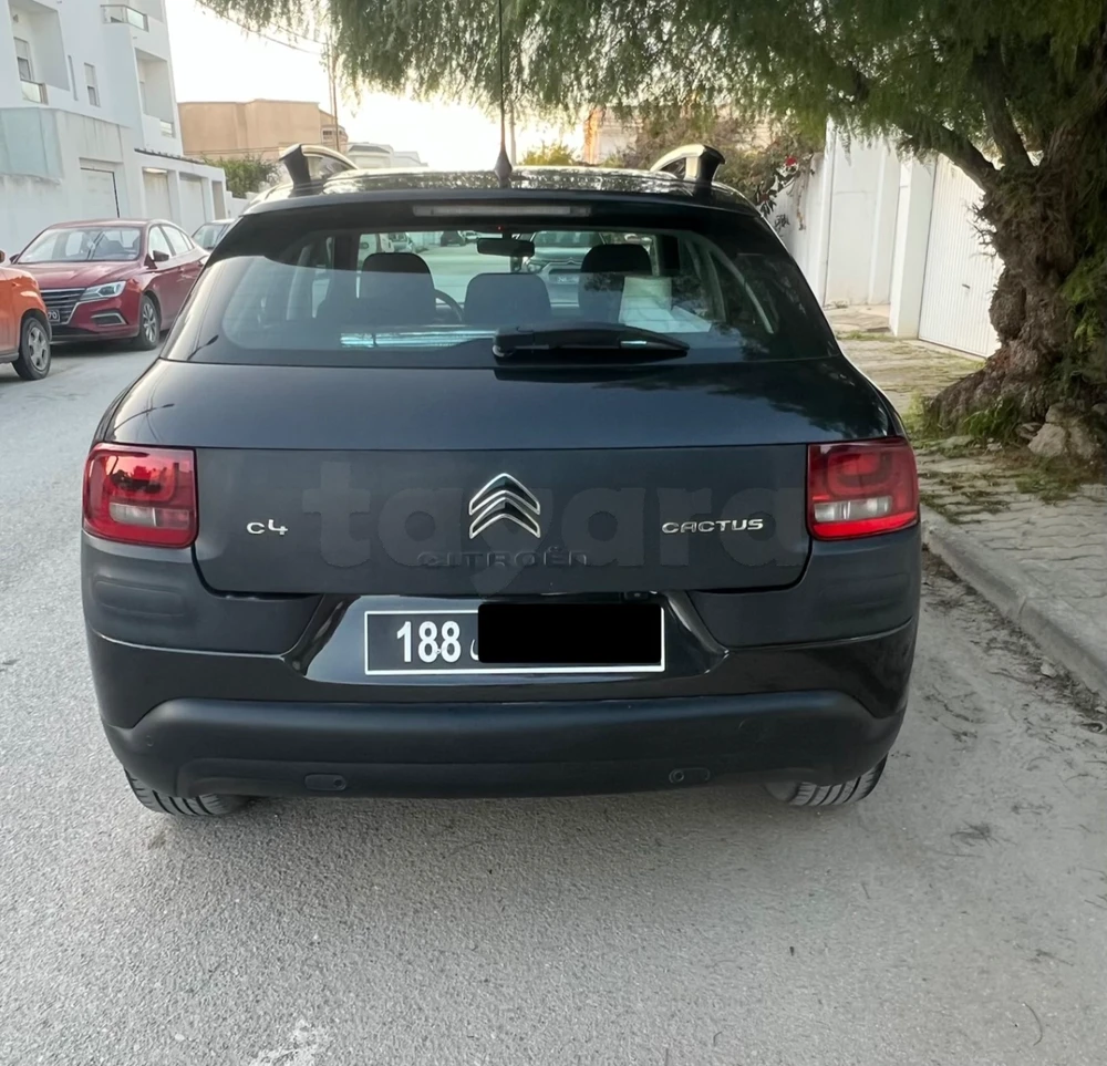Citroen C4 Cactus