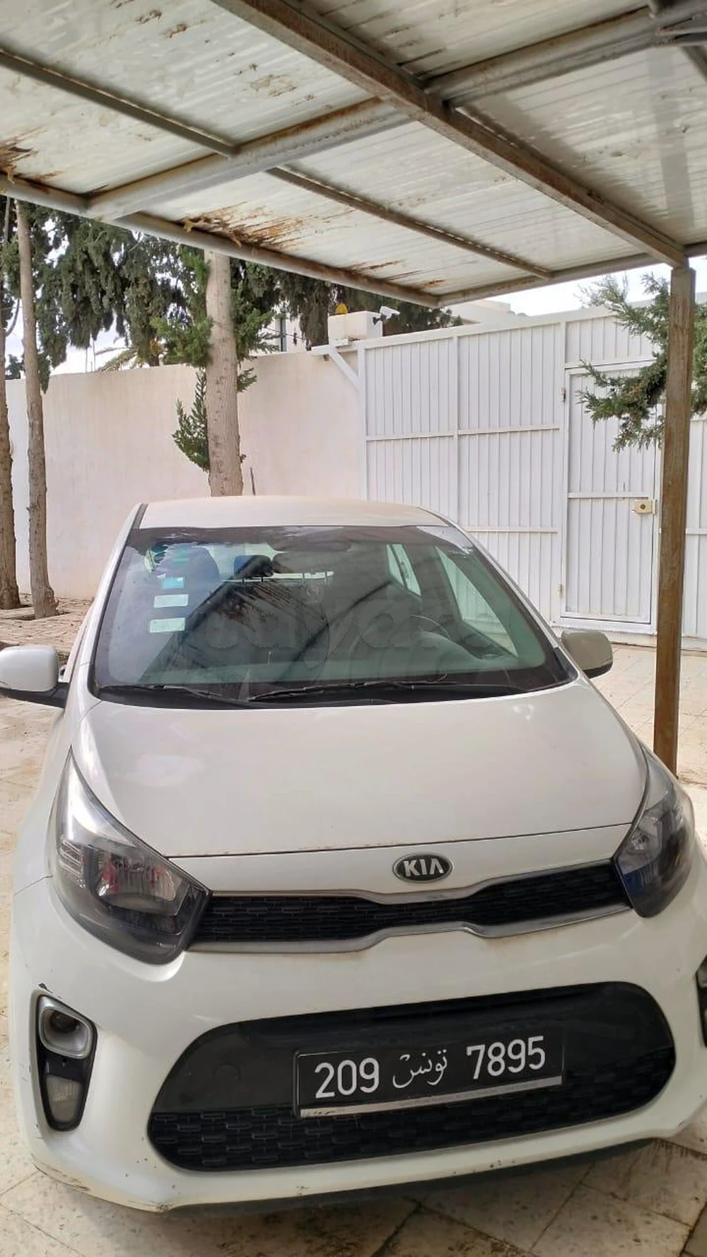 Carte voiture Kia Picanto