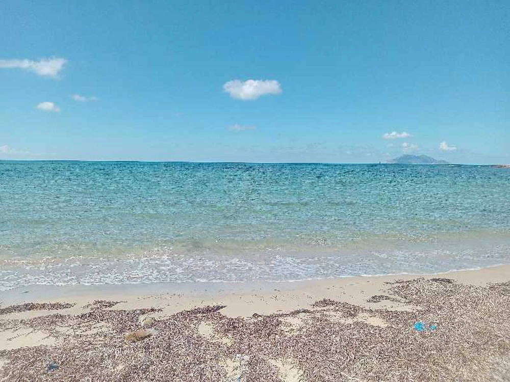 5000 m2 pieds dans l'eau la hawaria nabeul