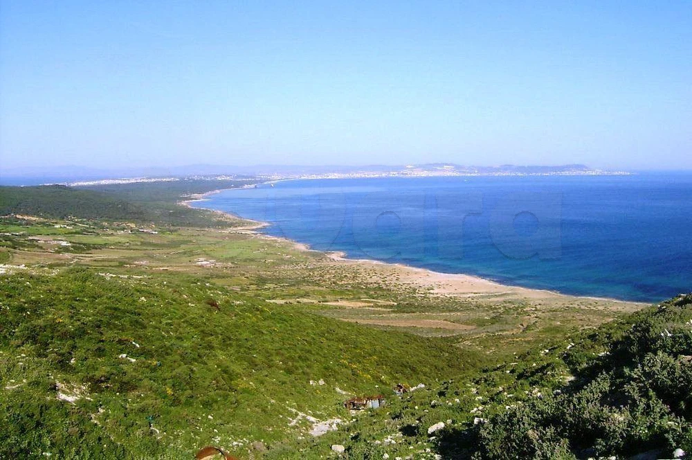 Terrain 1650 m2 à demna metline bizerte