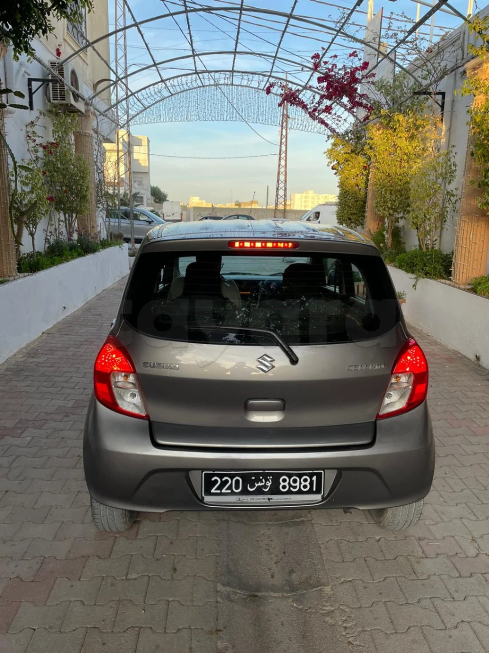 Carte voiture Suzuki Celerio