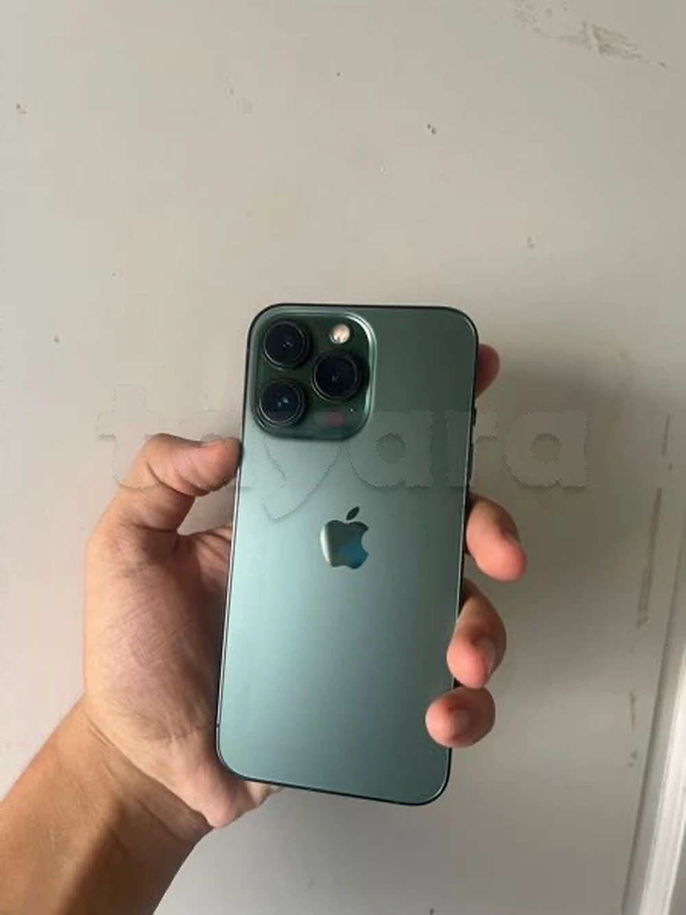 13 pro