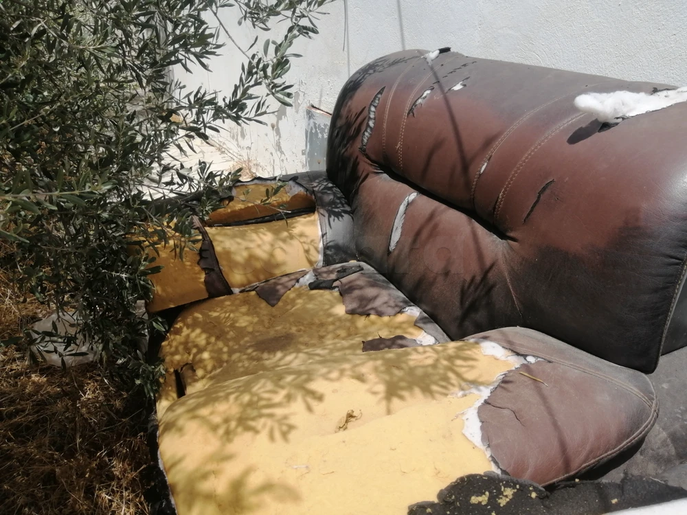 فوتايات بلنزحقيقي
