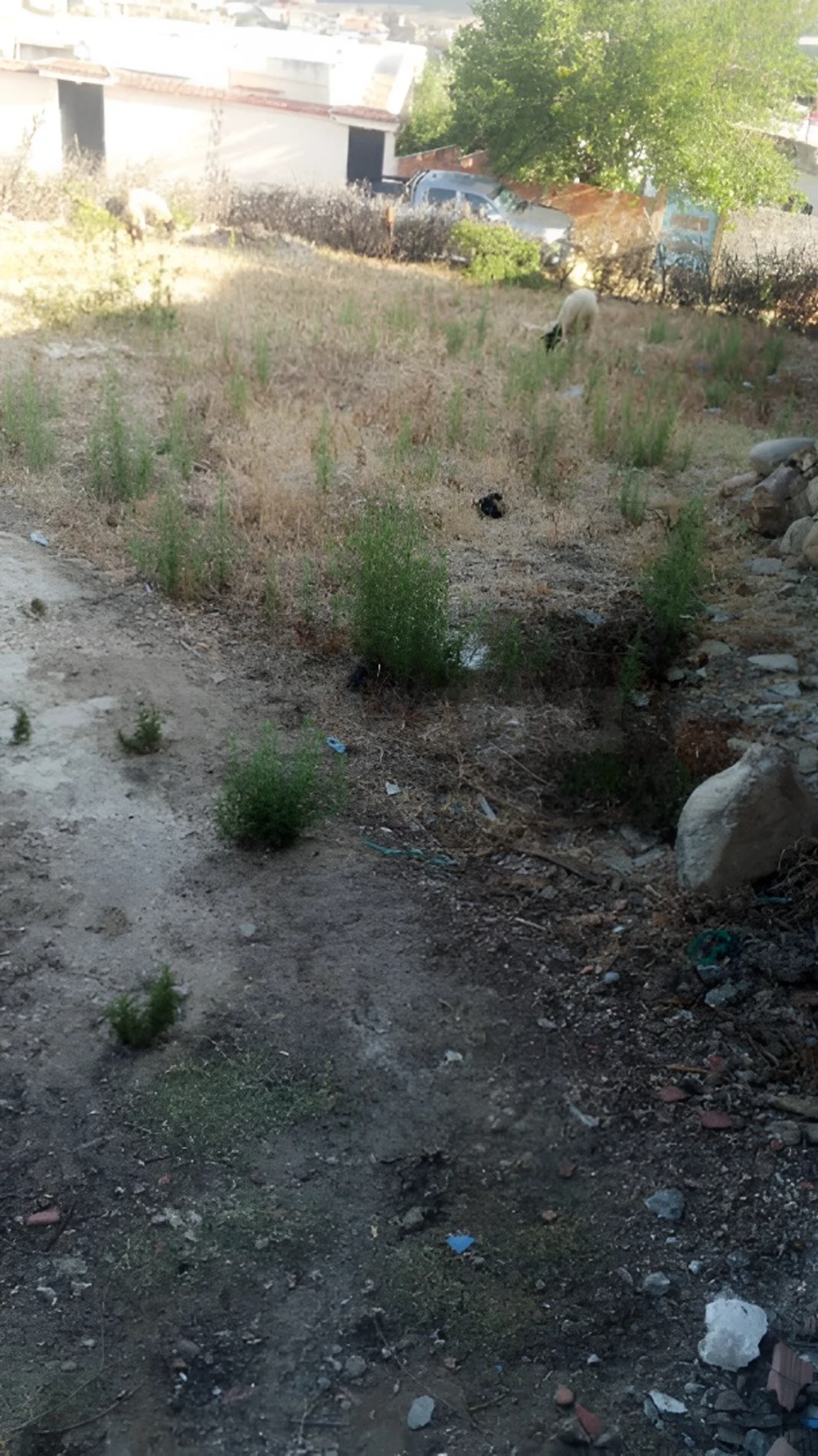 Terrain à vendre 280 m² – Hammam Bourguiba - 3ind drahem