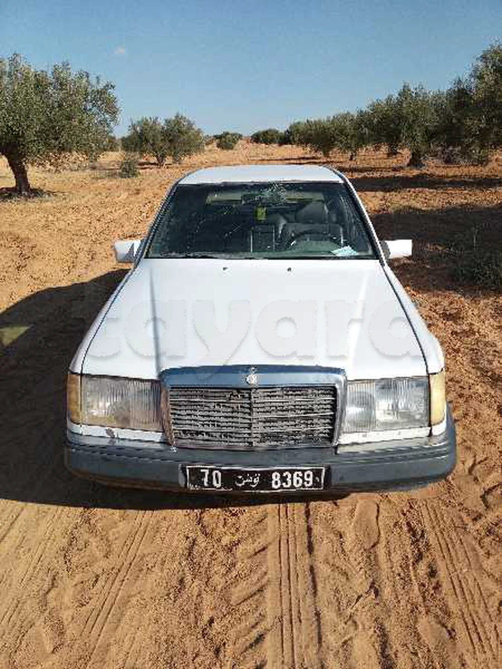 Carte voiture Mercedes-Benz 250