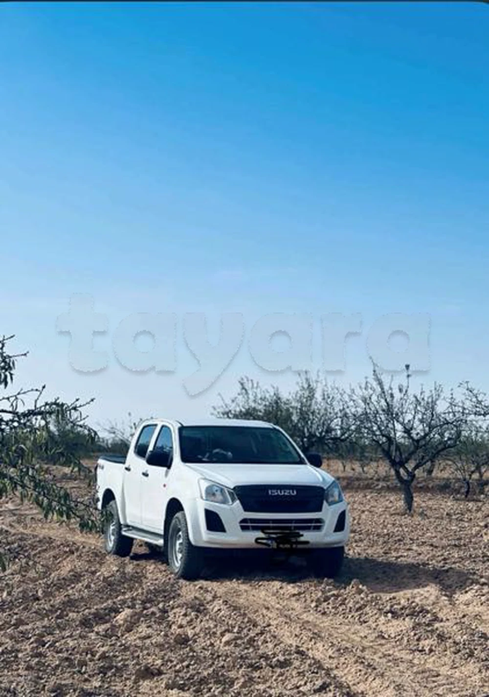 Isuzu D-Max