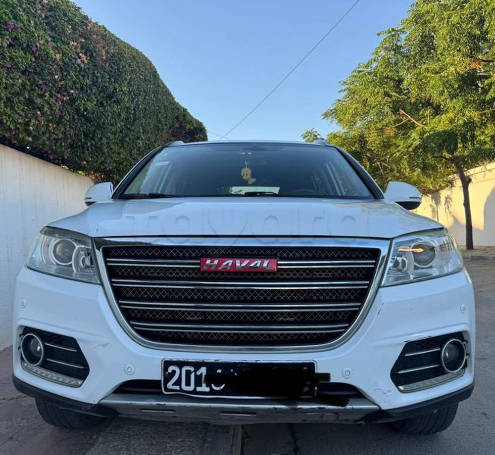 Carte voiture Haval H6