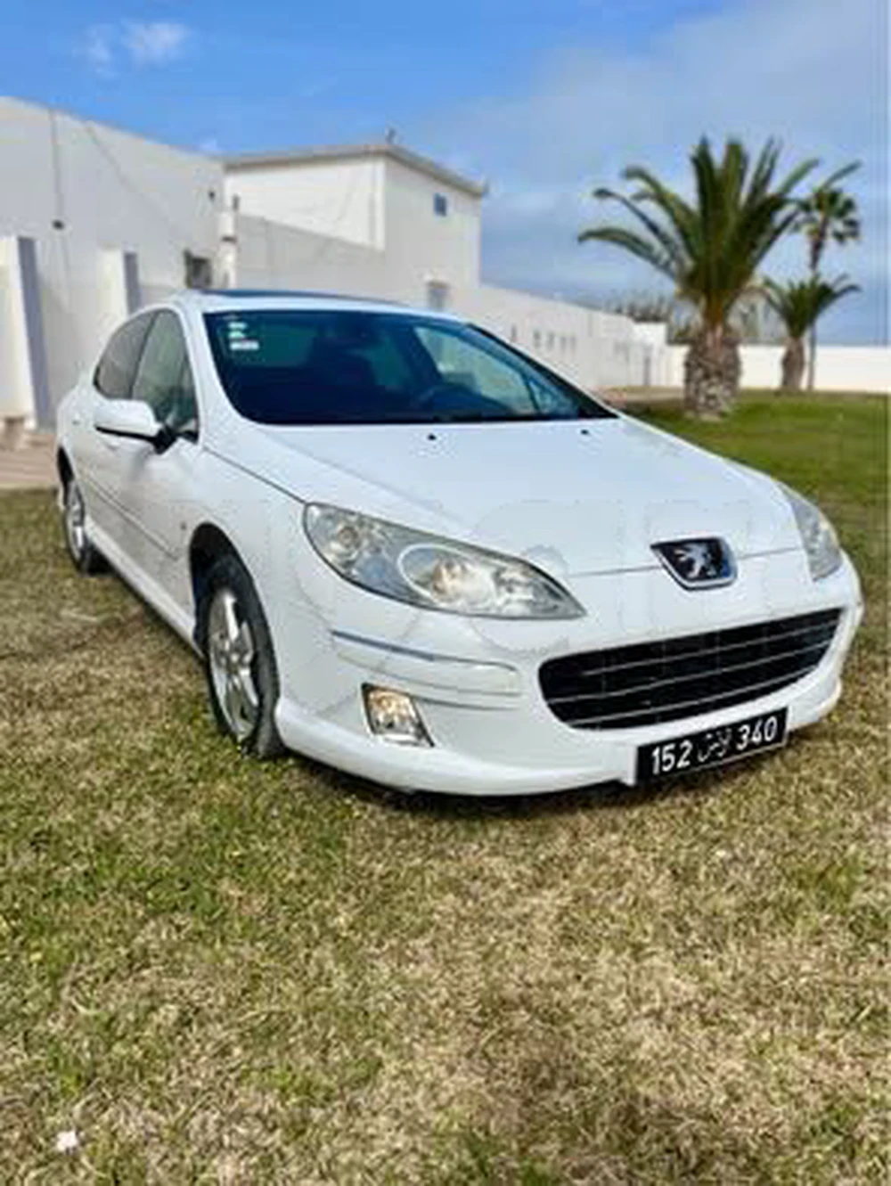 Peugeot 407