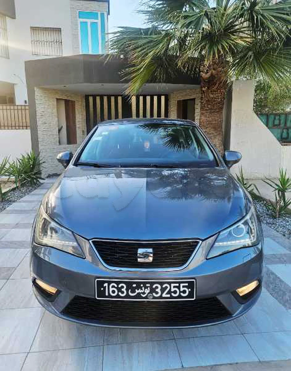 Carte voiture SEAT Ibiza